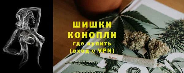 гидра Липки