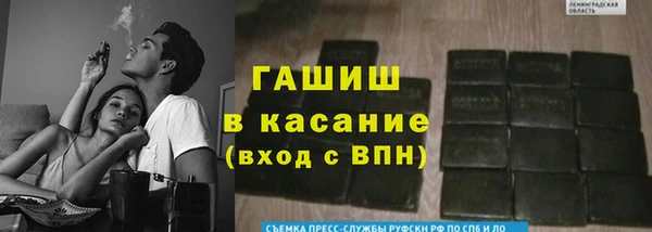 гидра Липки