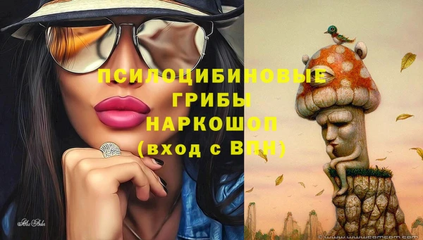 jwh Кострома