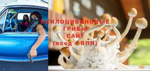 гидра Липки
