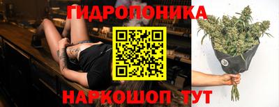 спиды Кимры