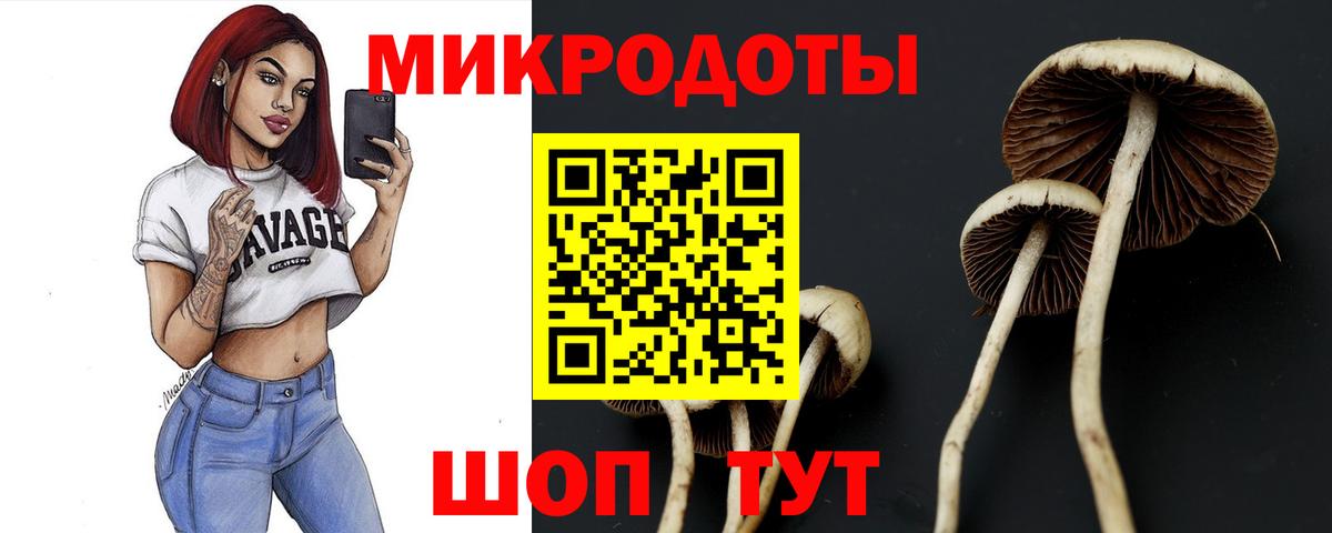 Каспийск  Псилоцибиновые грибы мицелий  Вход с VPN 